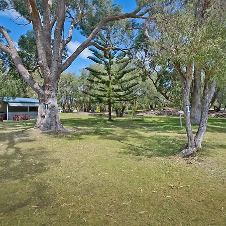 Acclaim Rose Gardens Beachside Holiday Park Albany Eksteriør bilde